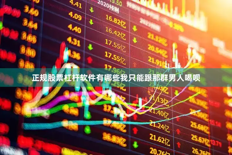 正规股票杠杆软件有哪些我只能跟那群男人喝呗