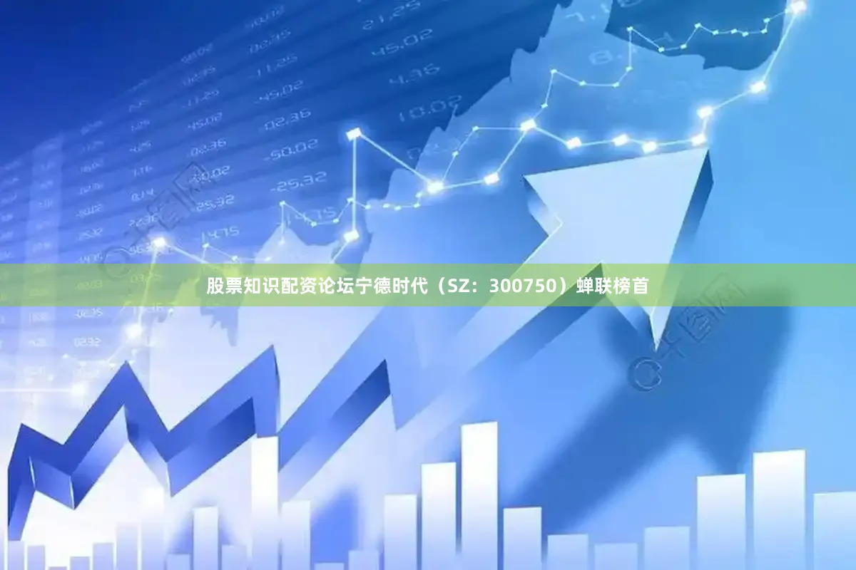 股票知识配资论坛宁德时代（SZ：300750）蝉联榜首